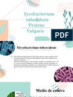 Microbiologia by Slidesgo 2 Microbiologia Topicos
