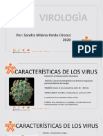 Presentaci N Virolog A 755fc6f599ea866