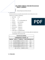 Rectificacion de Areas y Linderos