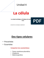 Celula-PDF