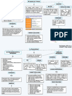 Mapa Conceptual