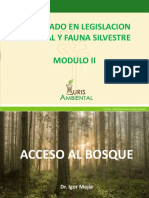 Acceso Al Bosque