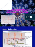 FUNCION de La Retina