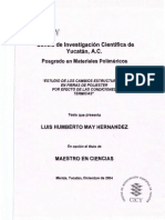 PMP M Tesis 2004 Luis May Hernanedez