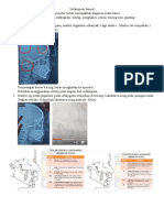 Sefalometri Lateral
