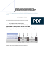 SDC TBL Fases Da Marcha