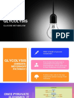 Glycolysis: Glucose Metabolism