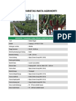 Cabai Besar Varietas Inata Agrihorti