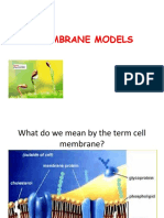 Models of Plasmamembrane