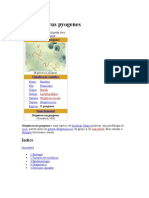 Streptococcus Pyogenes