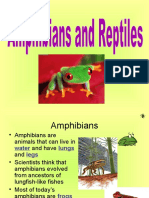 Amphibiansandreptiles
