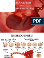 Embriogenesis Dan Tumkem Intrauterin