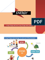Energy: Living Things and Non-Living Things Need Energy