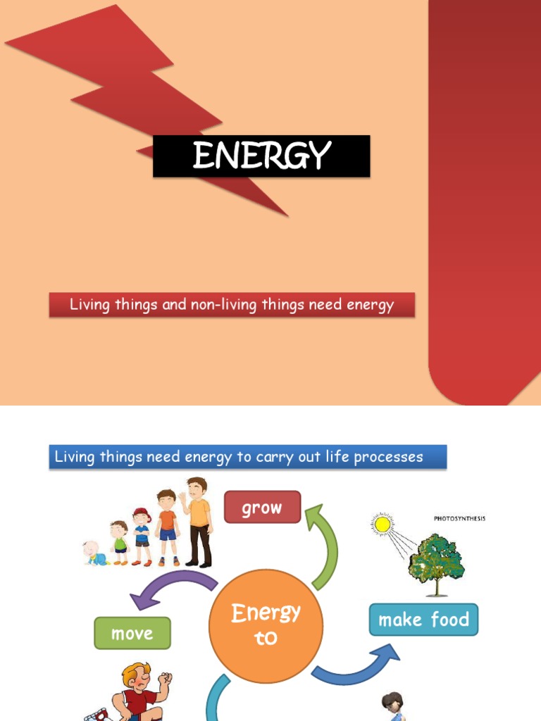 Energy Living Things and NonLiving Things Need Energy PDF Potential Energy Heat