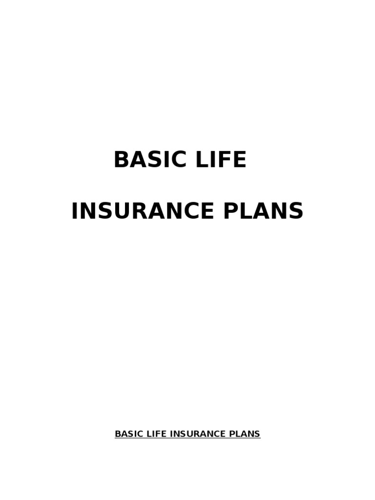 Basic Life Insurance Overview | PDF | Life Insurance | Insurance