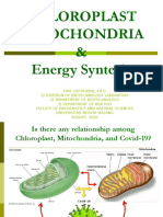 Chloroplast Mitochondria Energy Synthesis