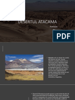 Desertul Atacama