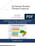 Desafios do bem-estar animal na produção de ovos