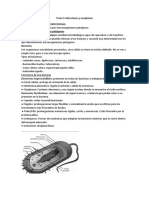 Tema 5 Infecciones y Neoplasias