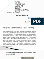 TIGERSPRONG