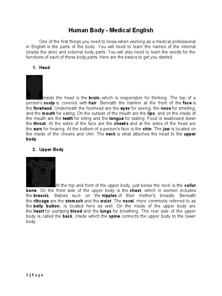 Human Body - Medical English: 1. Head | Download Free PDF | Arm | Human Leg