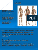 O Corpo Humano: Um Milagre da Engenharia Biológica