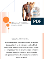 diapositivos_coluna vertebral