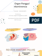 Prolaps Organ Panggul Dan Inkontinensia Urin