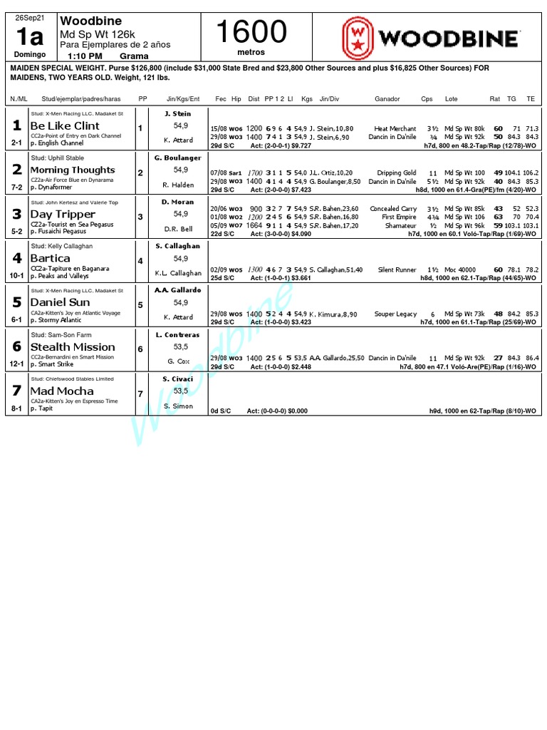 1 Woodbine Retrospectos PDF Horses Thoroughbred Racehorses