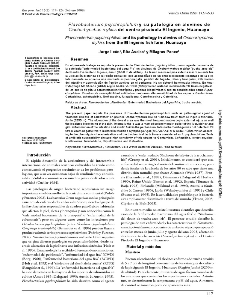 Flavobacterium Psychrophilum Mykiss | PDF | Las bacterias | Trucha arcoiris
