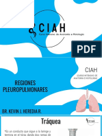 Regiones Pleuropulmonares