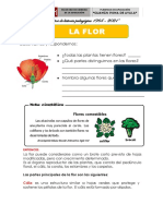 La Flor. Partes y Funciones.