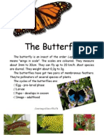 The Butterfly: Lepidopteres