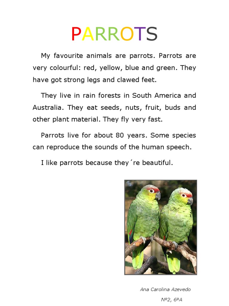 Parrots: Colorful Rainforest Birds | PDF | Parrot | Plants