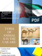 Animals in UAE: By: Varish Y5-C Diyafah International School