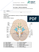 Estudo Dirigido Nervos Cranianos Gabarito