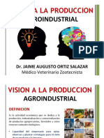 Introduccion Vision Agroindustrial