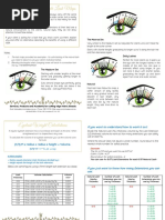 Eye Styling - With Example Lash Maps: The Monroe Set