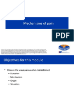 Mechanism of Pain