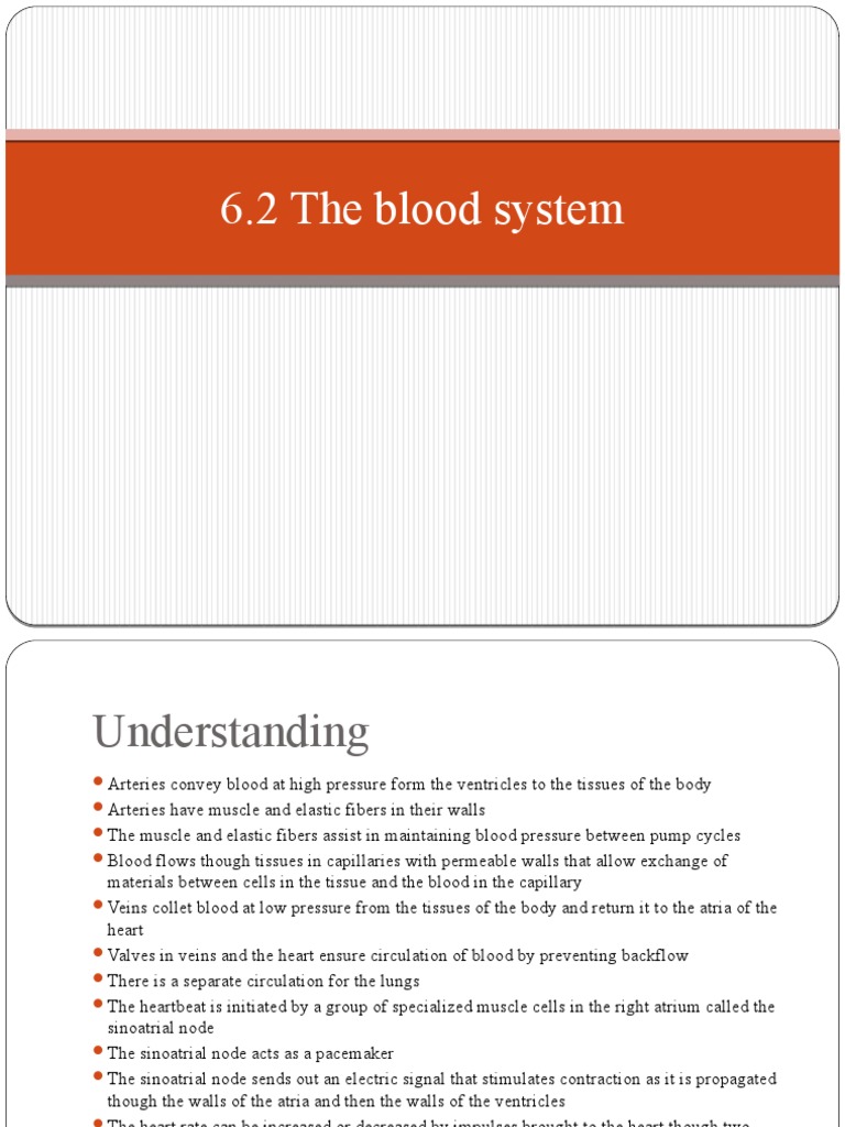 6.2 The Blood System | PDF | Heart | Circulatory System