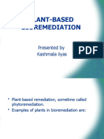 Plant-Based Bioremediation Techniques