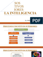 Procesos Cognitivos Inteligencia