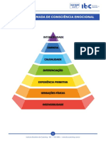 2 - Trabalhando a Autoconsciência Emocional (2)