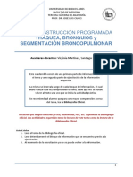 Tráquea Bronquios Segmentación Broncopulmonar