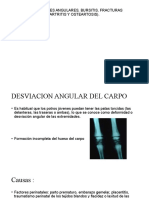 Carpo (Desviaciones Angulares, Bursitis, Fracturas