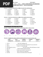 9t6-Further Practice 3 - Use of English