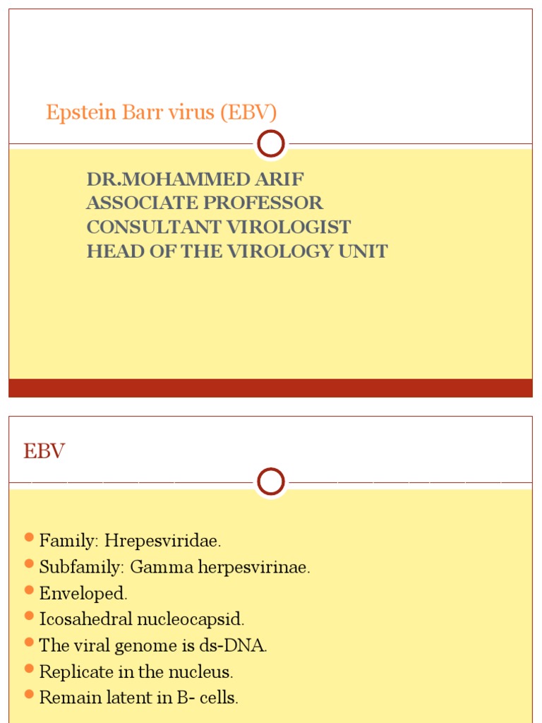 Epstein-Barr Virus Overview and Impact | PDF | Virus | Diseases And ...