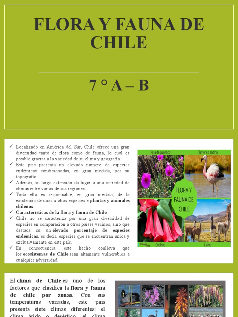 Flora y Fauna de Chile por Zonas | PDF | Clima | Chile
