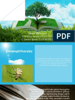 Green Grass Open Book PowerPoint Templates