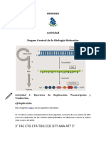 Actividad Dogma Central de La Biología Molecular